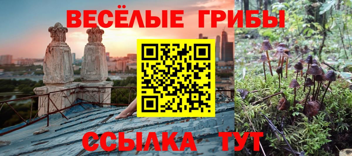 Галлюциногенные грибы мицелий Нововоронеж